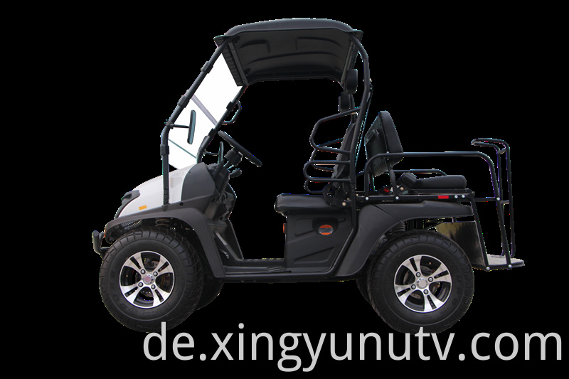 2021 Heißer Verkauf Hohe Qualität 5kw Electric UTV EWG Electric Golf Cart